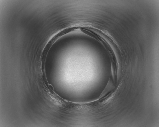 X0000060740830200511101105