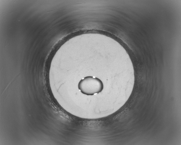 X0000060740832200511101105