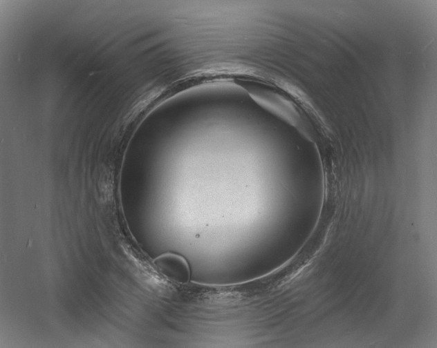 X0000060740833200511101105