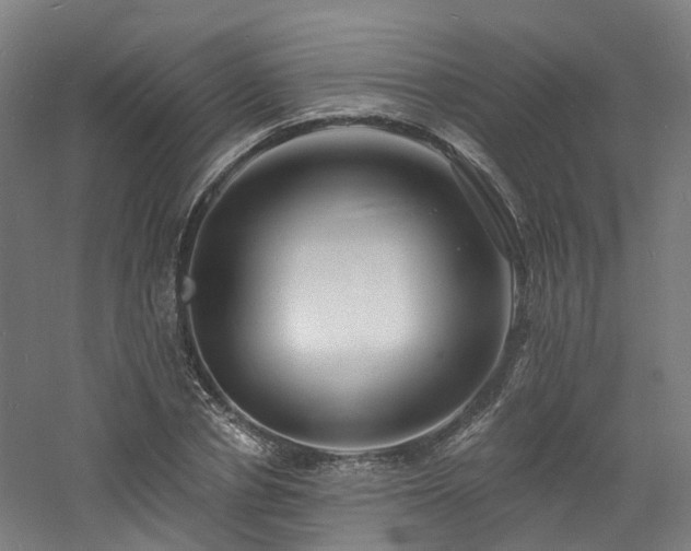 X0000060740834200511101105