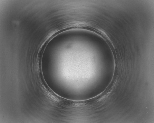 X0000060740835200511101105