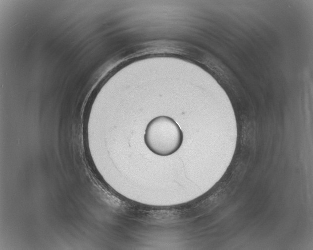 X0000060740836200511101106