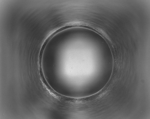 X0000060740839200511101106