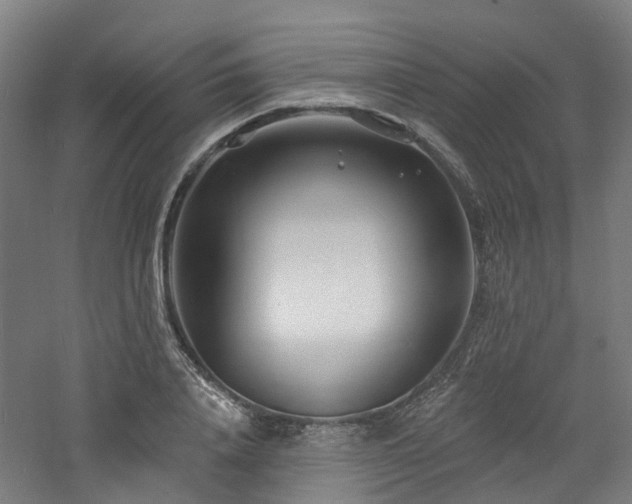 X0000060740840200511101106