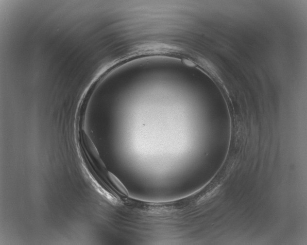 X0000060740843200511101106