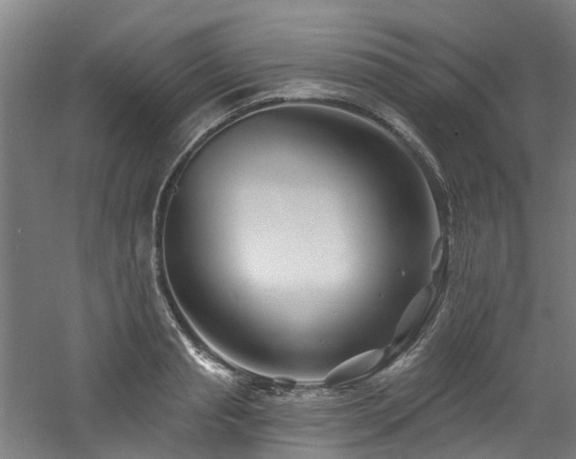 X0000060740845200511101106