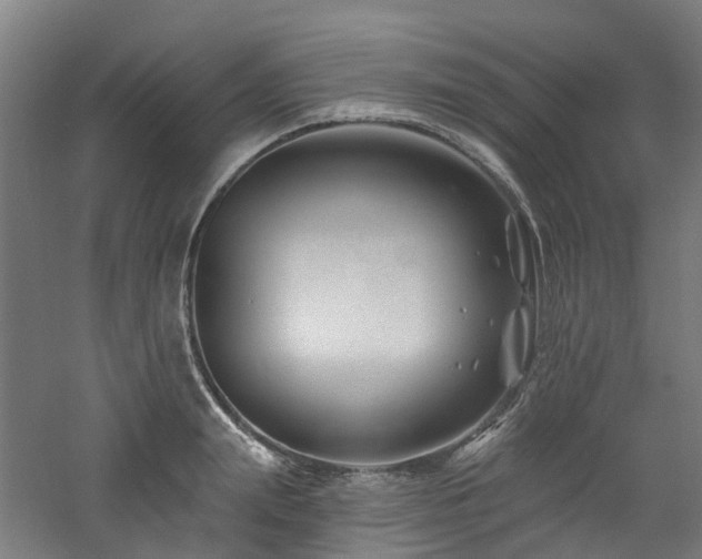 X0000060740847200511101106