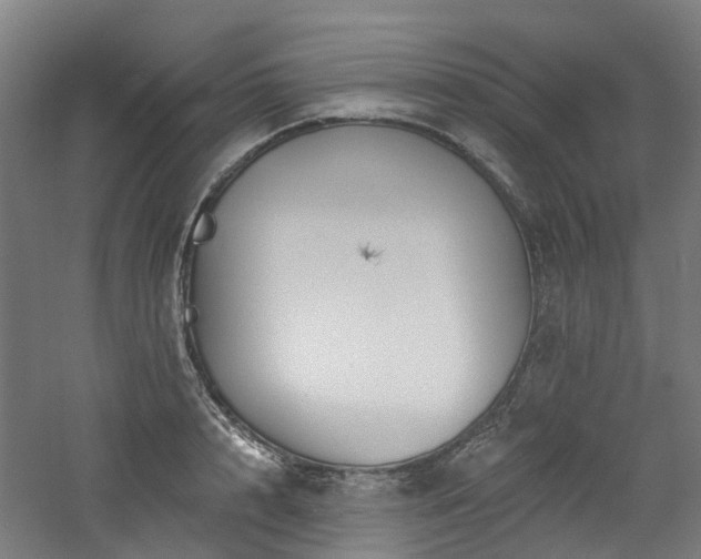 X0000060740848200511101106