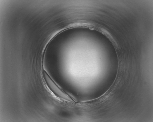 X0000060740852200511101106