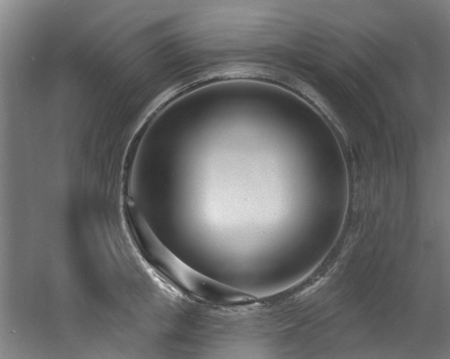 X0000060740853200511101106