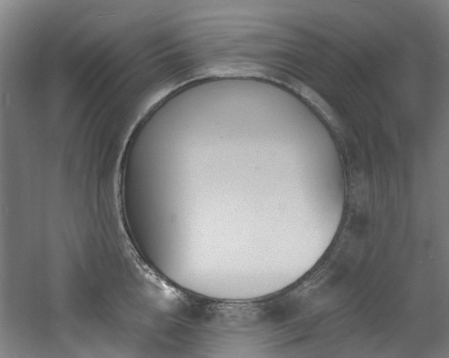 X0000060740856200511101106