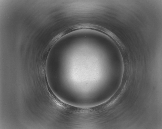 X0000060740857200511101106