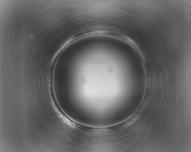 X0000060740859200511101106