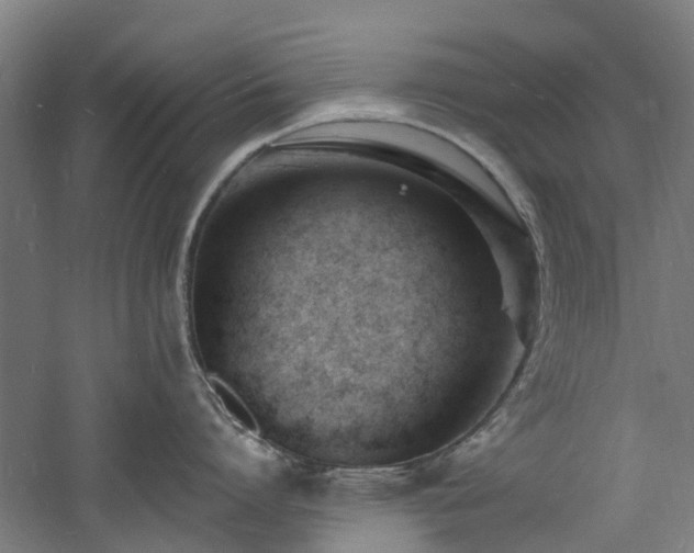 X0000060740864200511101106