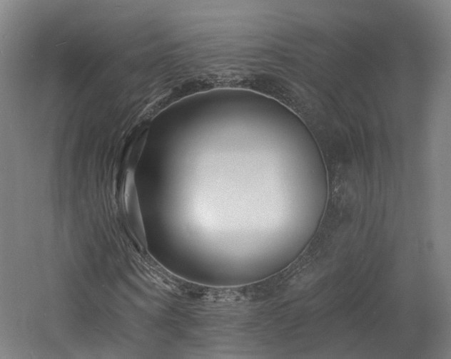 X0000060740866200511101105