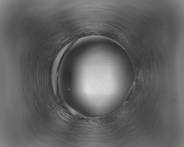 X0000060740868200511101105