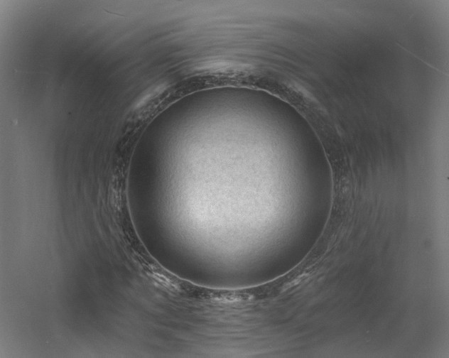 X0000060740869200511101105