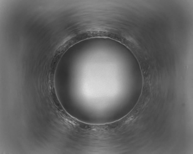 X0000060740870200511101105