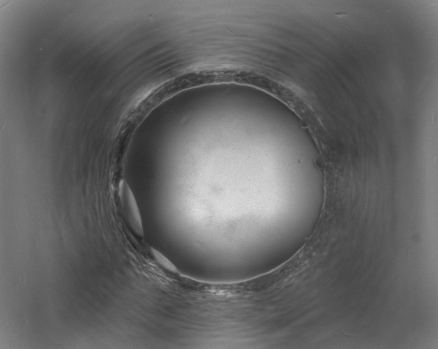 X0000060740871200511101105