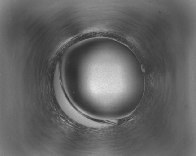 X0000060740872200511101105