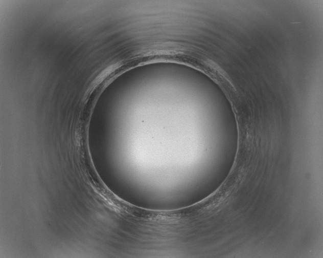 X0000060740874200511101105