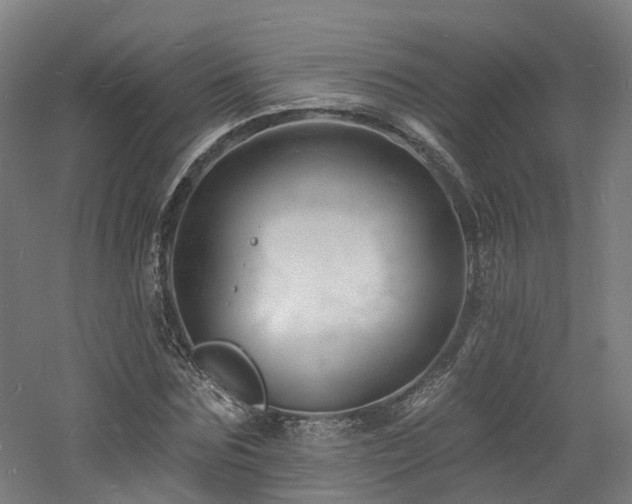 X0000060740875200511101105