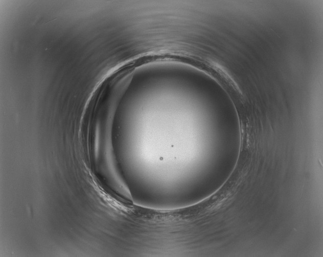 X0000060740876200511101105