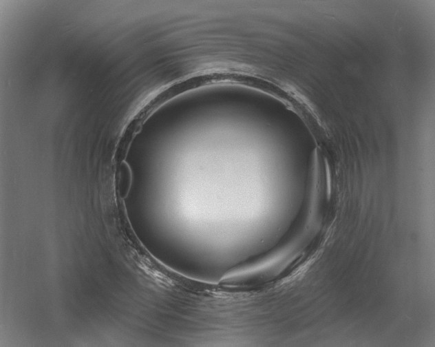 X0000060740877200511101105