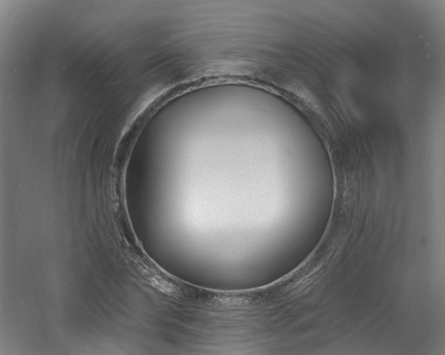 X0000060740878200511101105