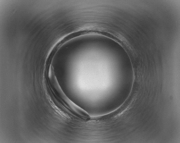 X0000060740880200511101105