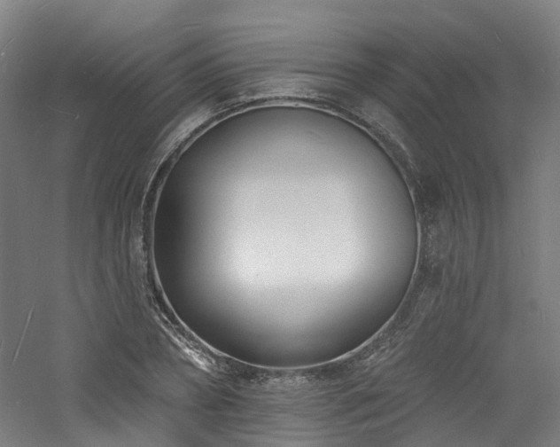 X0000060740882200511101105