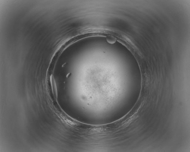 X0000060740883200511101105