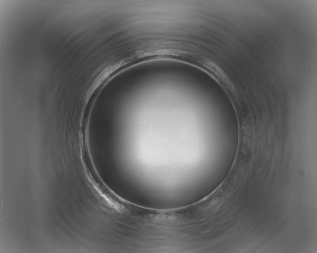 X0000060740890200511101105