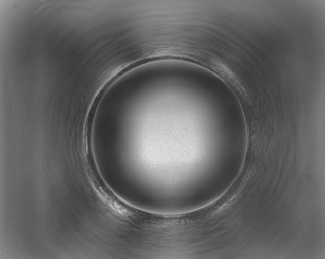 X0000060740892200511101105