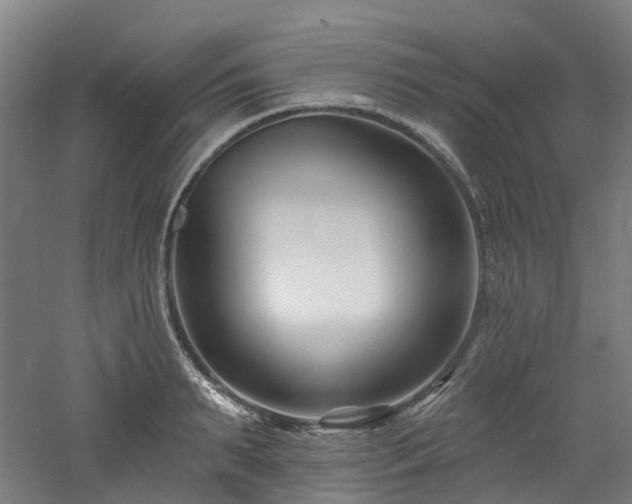 X0000060740895200511101105