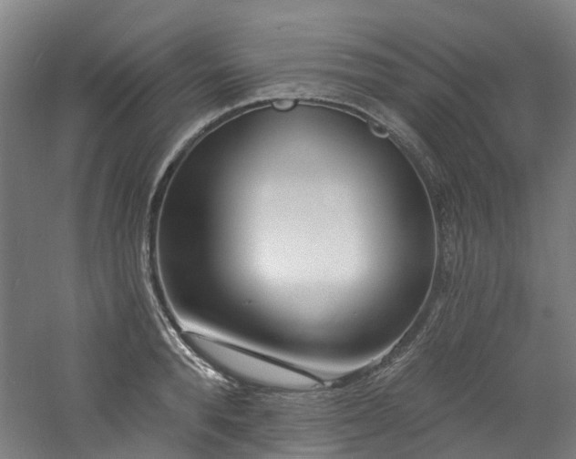 X0000060740896200511101105