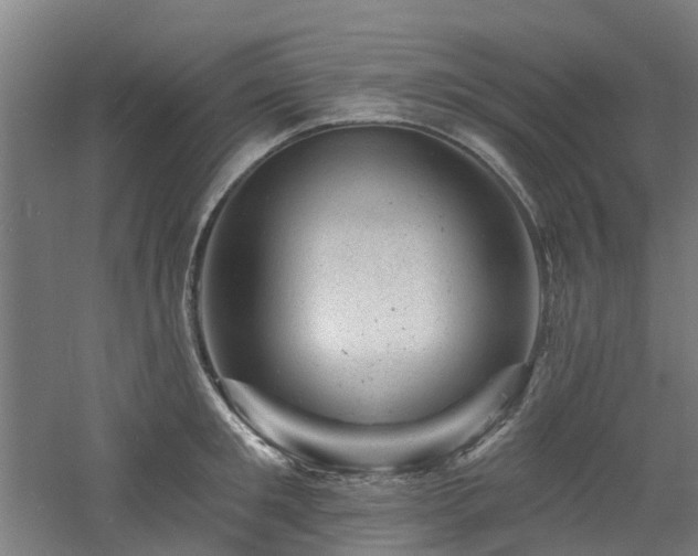 X0000060740901200511101105