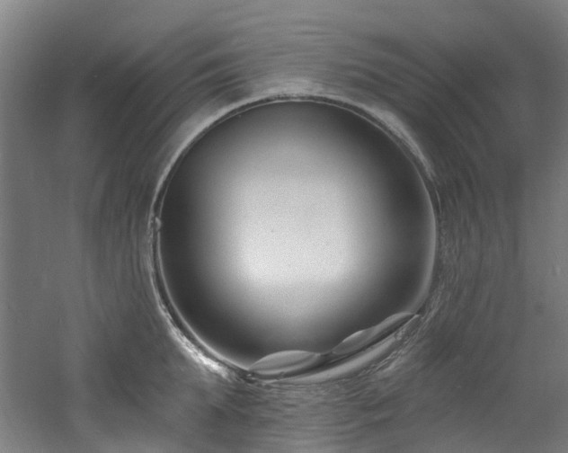 X0000060740903200511101105