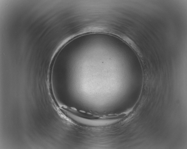 X0000060740904200511101105