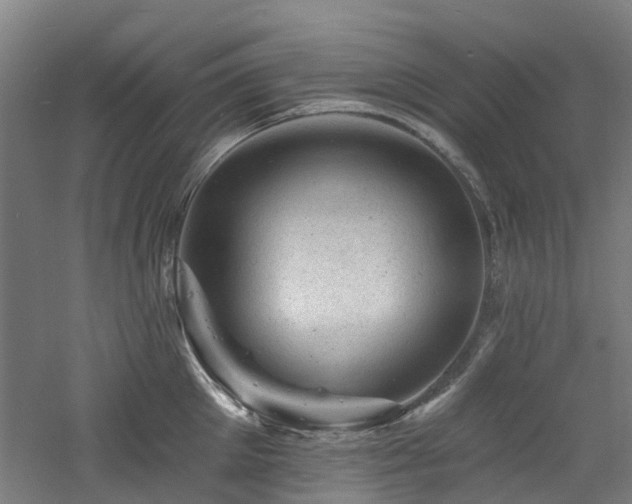 X0000060740905200511101104