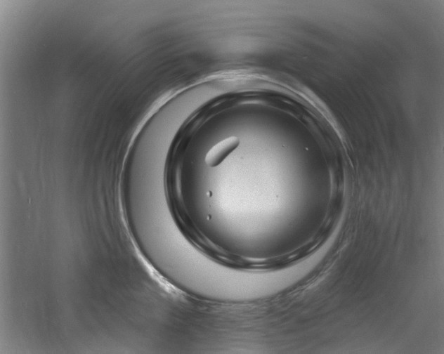 X0000060740909200511101104