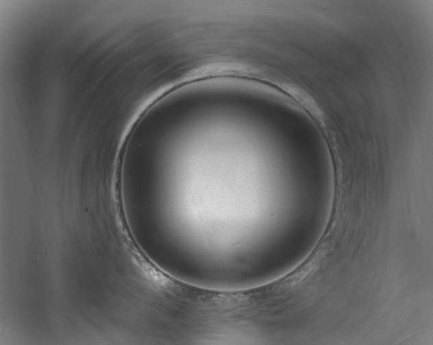 X0000060740912200511101104