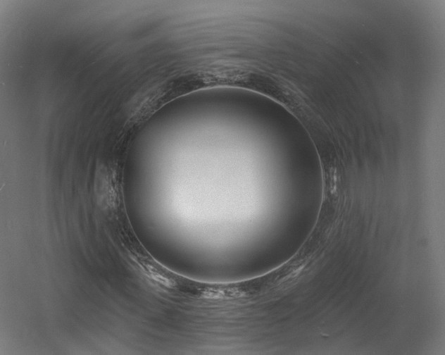 X0000060740915200511101104