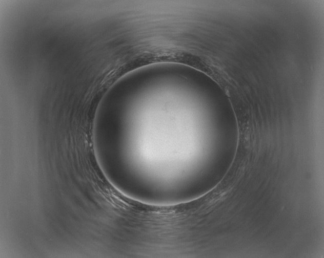 X0000060740916200511101104