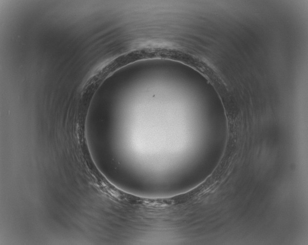 X0000060740919200511101104