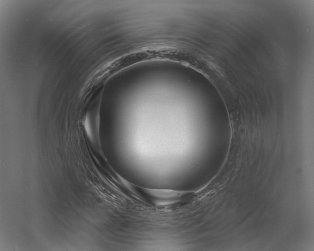 X0000060740920200511101104