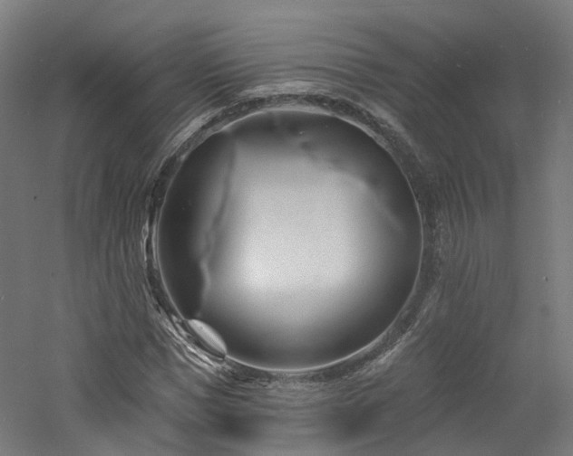 X0000060740921200511101104