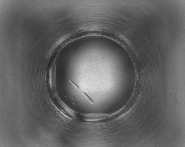 X0000060740922200511101104