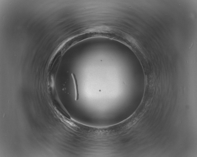 X0000060740923200511101104