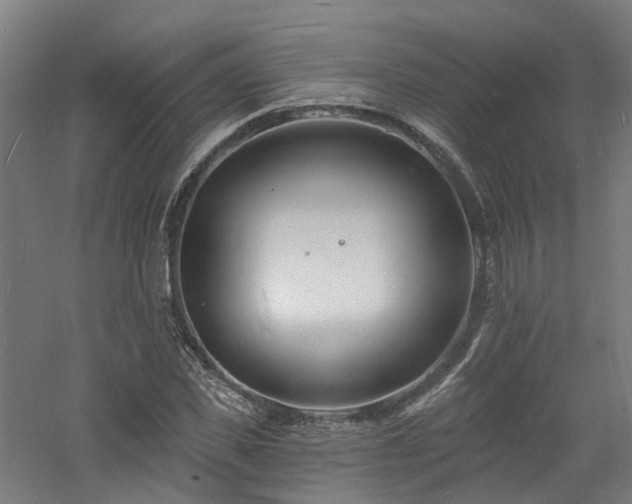 X0000060740925200511101104